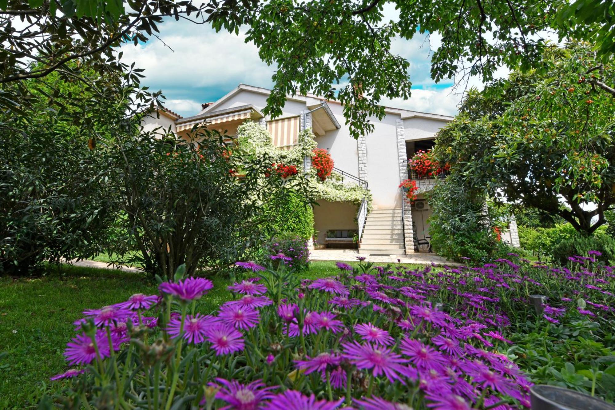 Apartment Slavica Vrvari Πόρετς Εξωτερικό φωτογραφία